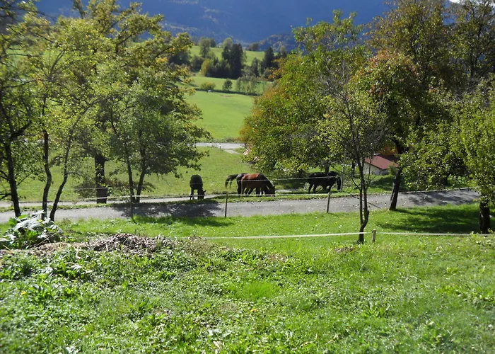 Apartament Warmuth *