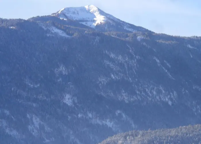 Warmuth * Sankt Stefan an der Gail